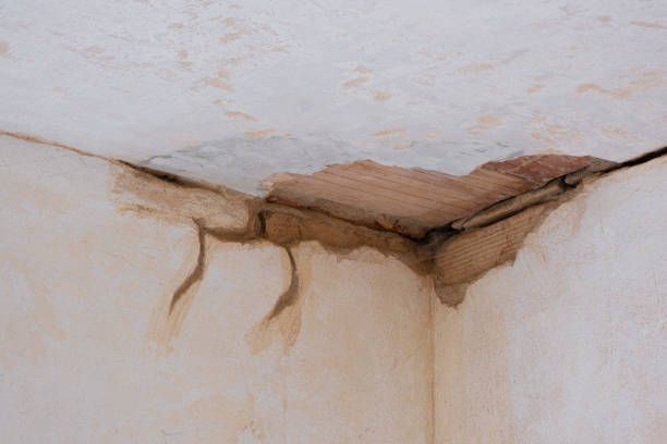 Best 24-hour water damage restoration  in Weldon Spring, MO