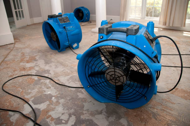 Best Water damage restoration near me  in Weldon Spring, MO