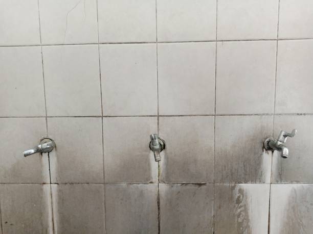 Best Water damage restoration near me  in Weldon Spring, MO