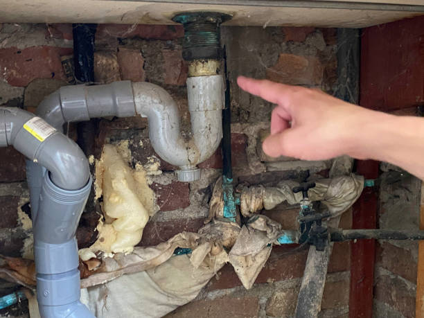 Best Water damage cleanup near me  in Weldon Spring, MO